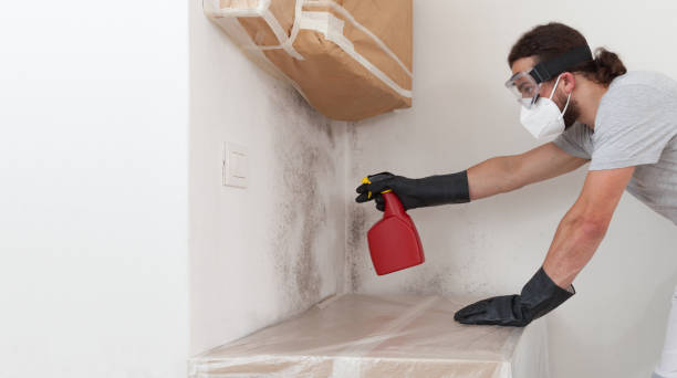 Professional Basement Mold Remediation technician working in Cresson, TX