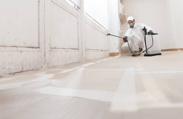 24/7 Emergency Basement Mold Remediation experts in Cresson, TX